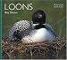 Loons (Worldlife Library)