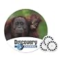 Discovery Channel View-Master Learning 3D Reels Babies in Nature