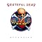 Best Grateful Dead Albums