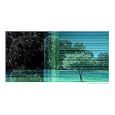 The Judas Tree Photographic Poster Print by J Moran, 20x16