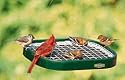 Duncraft Squirrel Proof Platform Feeder