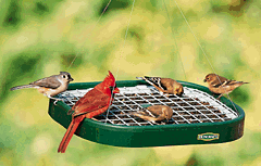 Duncraft Squirrel Proof Platform Feeder