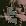 Ligeti Project 5