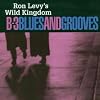 B-3 Blues and Grooves