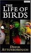 David Attenborough's Life Of Birds [VHS] [UK Import]