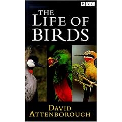 David Attenborough's Life Of Birds [VHS] [UK Import]
