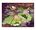 Moonlight in a lotus pond Fantasy Giclee Poster Print by Shelley Xie, 20x16