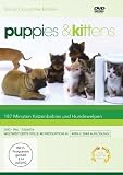 Puppies & Kittens [Special Collector´s Edition]