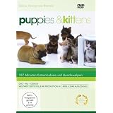 Puppies & Kittens - Hunde und Katzen [Special Collector's Edition] [Special Edition]von "Timm Hendrik Hogerzeil"