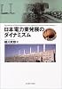 日本電力業発展のダイナミズム