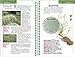 Scotts Lawns: Your Quick Guide To A Beautiful Yard (Waterproof Books)