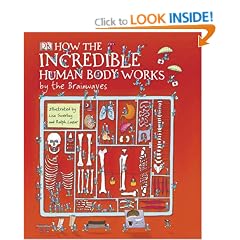 How the Incredible Human Body Works: by the Brainwaves