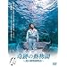 ��Ղ̓����� ~���R����������~ [DVD]