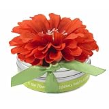 Bloembox Tiny Tin Edible Flowers: Calendula