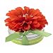 Bloembox Tiny Tin Edible Flowers: Calendula