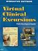 Virtual Clinical Excursions for Maternity and Women's Health Care