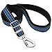 ITERY Dog Leash, Reflective Nylon Dog Training Leash with Padded Handle, Adjustable Length 3.4-5.8 Feet (Blue)