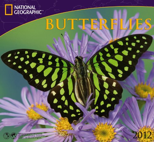 2012 Butterflies - National Wall calendar
