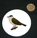 3" button / pin printed with warbler, vertebrate, european, flycatcher, svarthatta, perching, animal, avian, bird, songbird