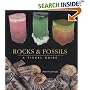 Rocks and Fossils: A Visual Guide (Visual Guides)