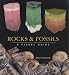 Rocks and Fossils: A Visual Guide (Visual Guides)