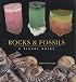 Rocks and Fossils: A Visual Guide (Visual Guides)