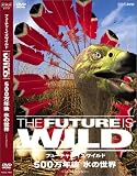 �ե塼���㡼�����磻��� 500��ǯ�� ɹ������ [DVD]