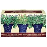 French Herb Garden