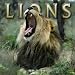 Book Lions 2004 Calendar