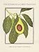 Vegetables of Chez Panisse 2003 Engagement Calendar