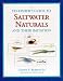 Book A Fly-Fisher's Guide to Saltwater Naturals and Their Imitation