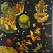 Mellon Collie & the Infinite Sadness