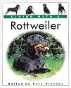 Living with a Rottweiler