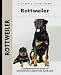   - Rottweiler: A Comprehensive Guide to Owning and Caring for Your Dog (Kennel Club Dog Breed Series)