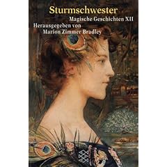 Sturmschwester: Magische Geschichten 12