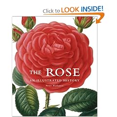The Rose: An Illustrated History