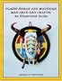 Plains Indian and Mountain Man Arts and Crafts: An Illustrated Guide