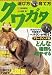 クワガタ 選び方・育て方 (Best Partner)