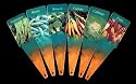 Best Garden Markers by Next Innovations