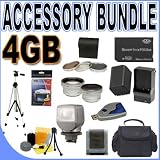 BigVALUEInc Accessory Saver Bundle for Sony Handycam HDD Hard Disk Drive Camcorders DCR-SR220 DCR-SR42 DCR-SR45 DCR-SR62 DCR-SR65 DCR-SR82 DCR-SR85 HDR-SR10 w/ 3 Piece Filter Kit - FH-100 Rechargeable Compatible Battery - Quick-Rapid External Charger - 0.45x Wide Angle Lens - 2x Telephoto Lens - 4GB PRODuo Memory Stick - Compact Video Light + More!