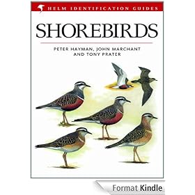 Shorebirds (Helm Identification Guide)