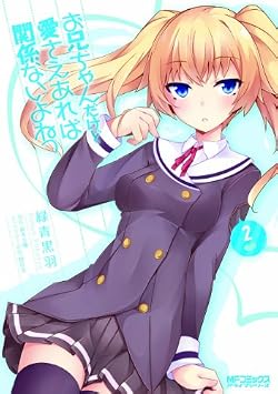 お兄ちゃんだけど愛さえあれば関係ないよねっ 2