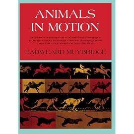 Animals in Motion