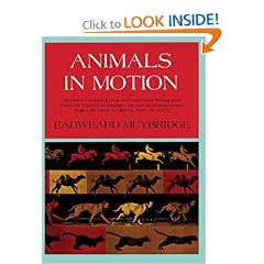Animals in Motion