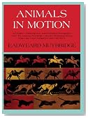 Animals in Motion