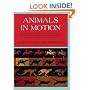 Animals in Motion