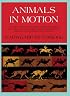 Animals in Motion