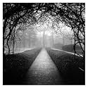 Art Poster Print - Arbor Walkway - Artist: Eric Kamp - Poster Size: 12 X 18 inches
