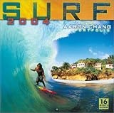 Surf 2004: The Aaron Chang Portfolio
