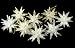 Club Pack Of 144 Glitter Moravian Starburst Christmas Ornaments